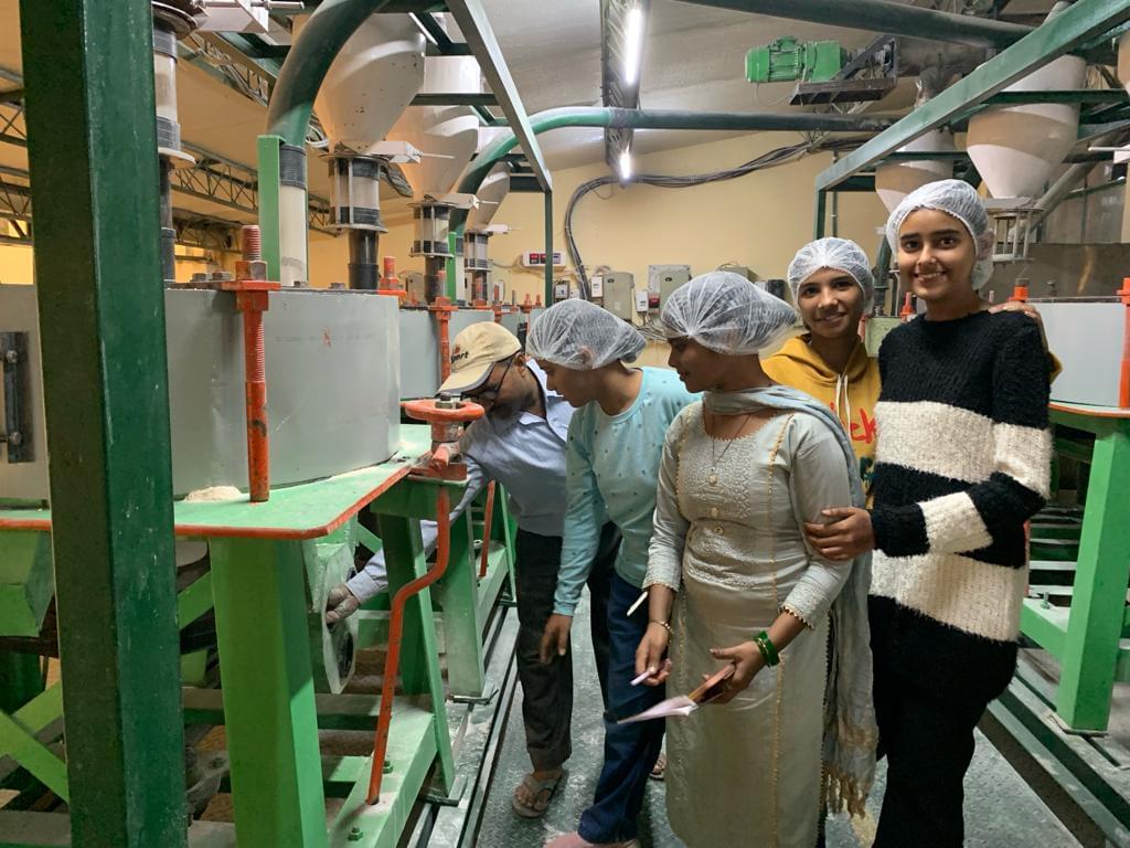 Synetic Business School Ludhiana Extra Curriculars photo 46